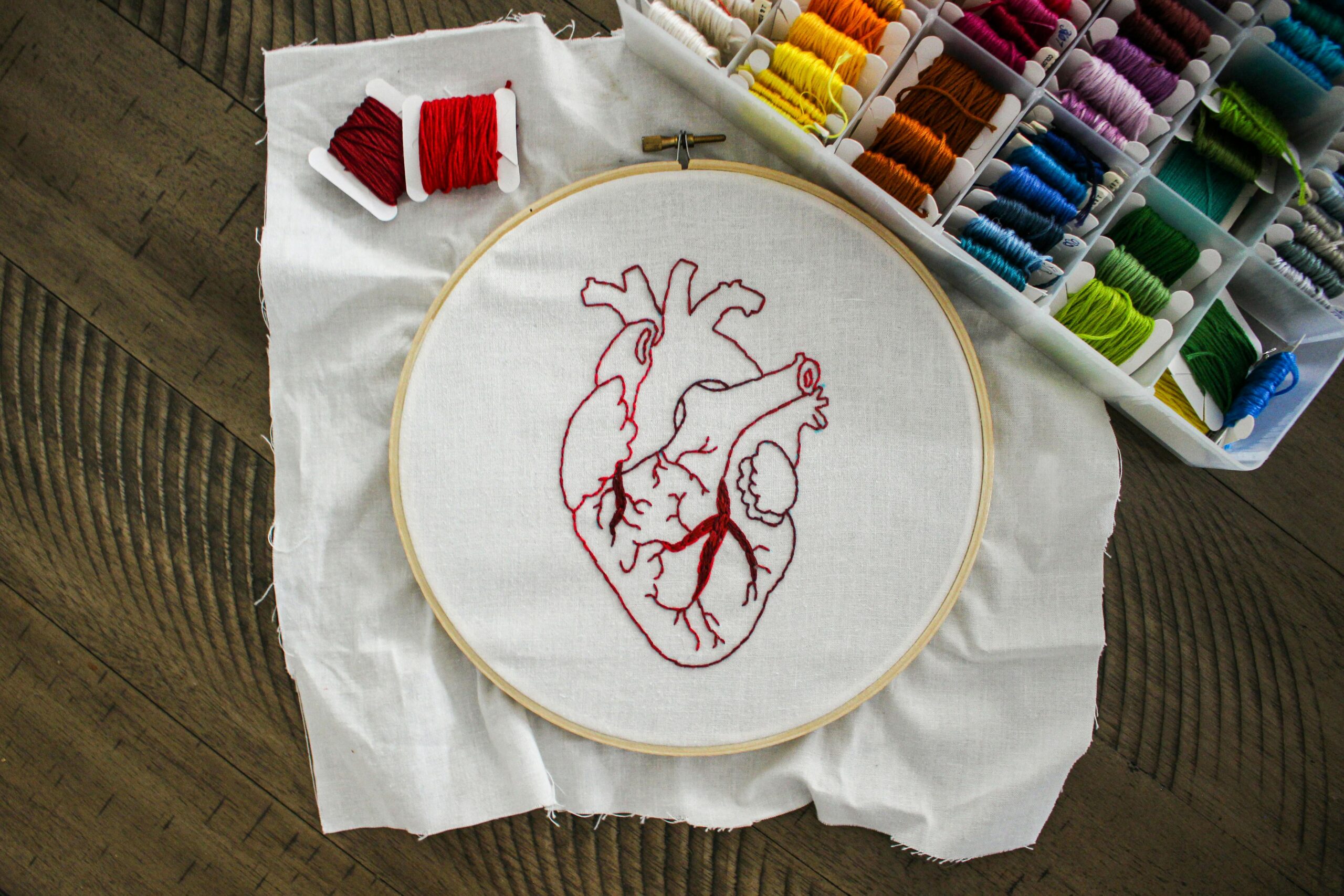 Heart symbolizing cholesterol and diabetes management, representing cardiovascular health and prevention of complications.